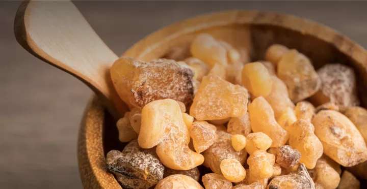 Chewing Gum - additional blog image