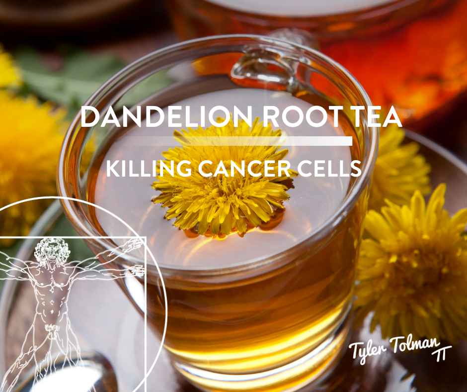Dandelion Tea Killing Cancer Cells
