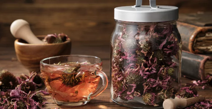 Immune System Health | A Natural Approach